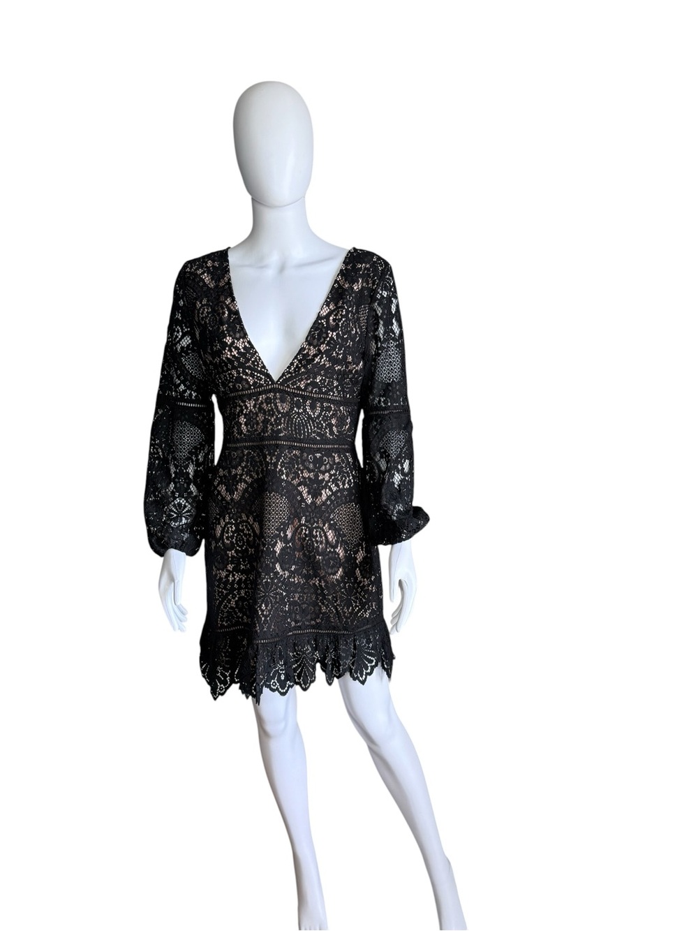 BB Dakota Black Lace Mini Dress with Blush Lining